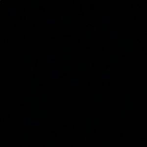 Meet your Posher, Blake